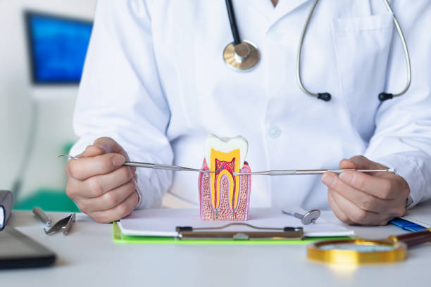 Best Emergency Dental Services for Seniors in Clearlake Riviera, CA